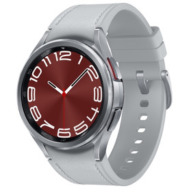 Смарт-часы Samsung Galaxy Watch 6 Classic 43mm, Silver (SM-R950)